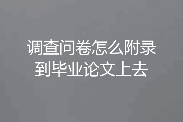 调查问卷怎么附录到毕业论文上去