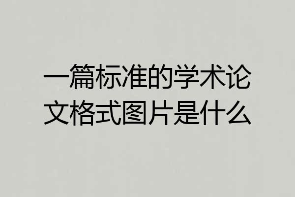 一篇标准的学术论文格式图片是什么