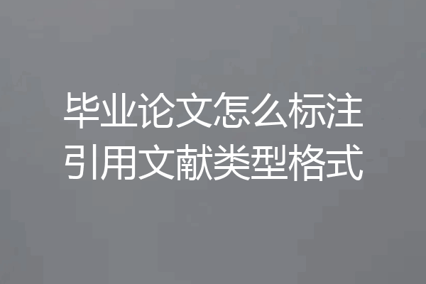 毕业论文怎么标注引用文献类型格式