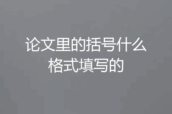 论文里的括号什么格式填写的