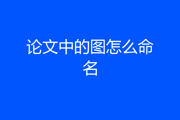 论文中的图怎么命名