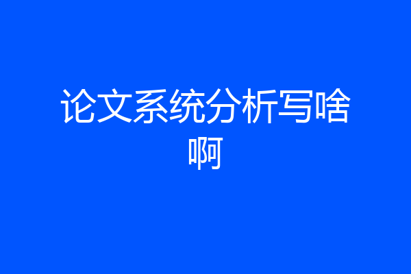论文系统分析写啥啊