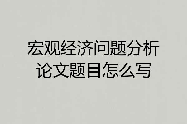宏观经济问题分析论文题目怎么写