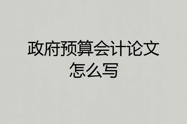 政府预算会计论文怎么写