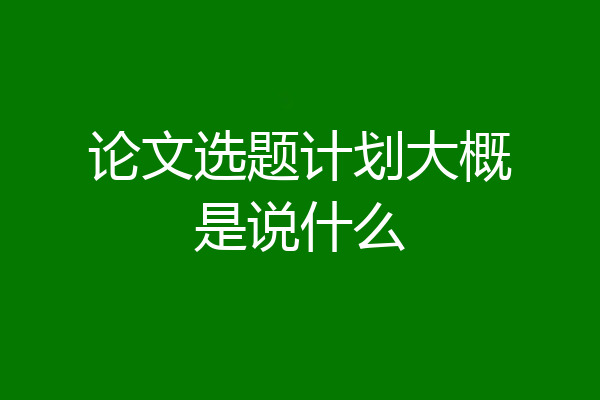论文选题计划大概是说什么