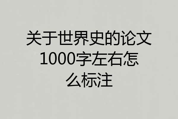 关于世界史的论文1000字左右怎么标注