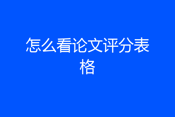 怎么看论文评分表格