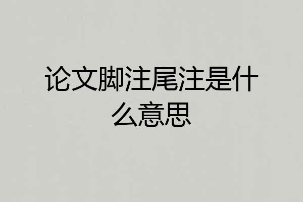 论文脚注尾注是什么意思