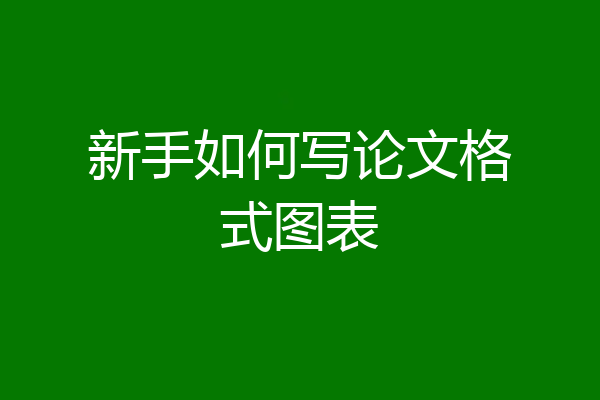 新手如何写论文格式图表