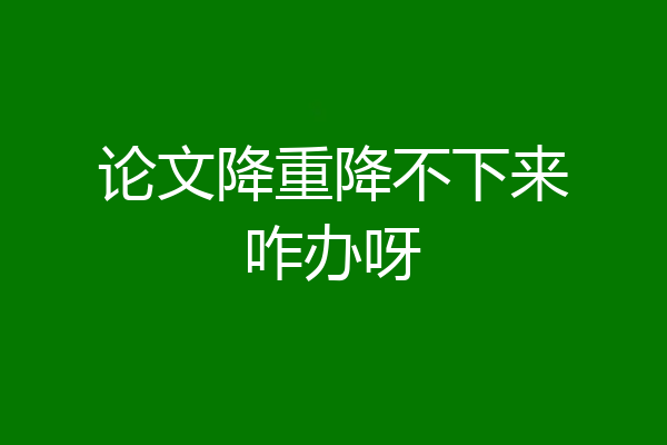 论文降重降不下来咋办呀