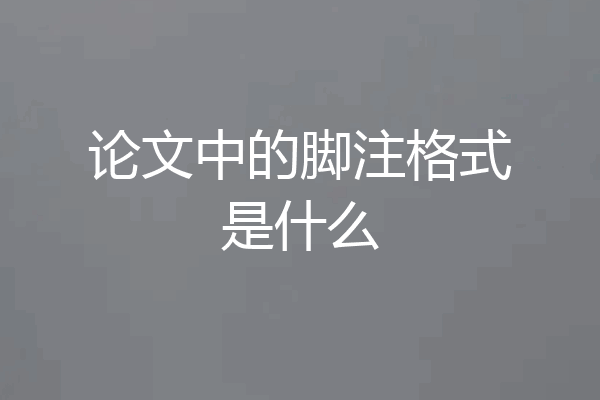 论文中的脚注格式是什么