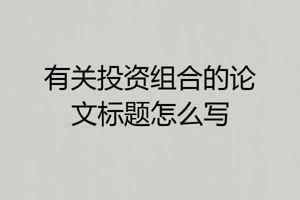 有关投资组合的论文标题怎么写