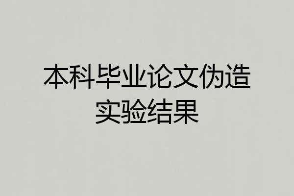 本科毕业论文伪造实验结果
