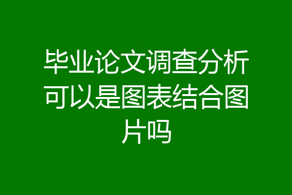 毕业论文调查分析可以是图表结合图片吗