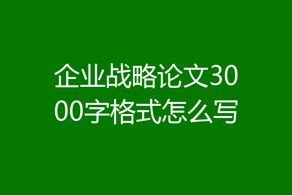 企业战略论文3000字格式怎么写