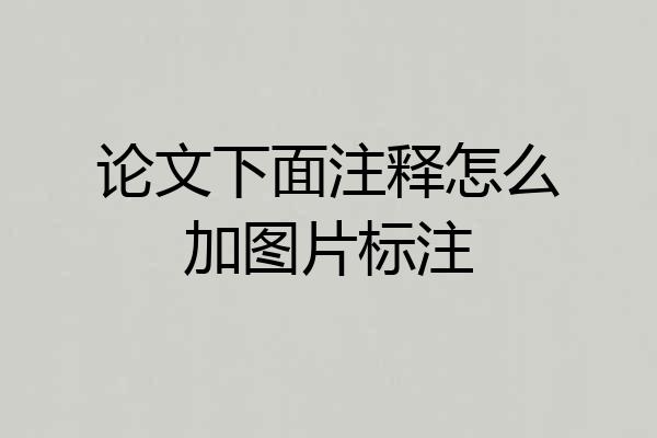 论文下面注释怎么加图片标注