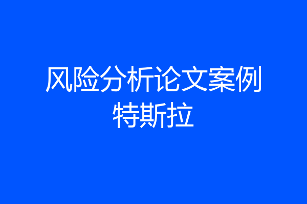 风险分析论文案例特斯拉