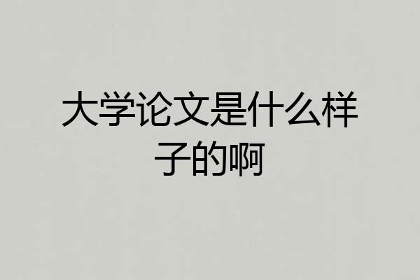 大学论文是什么样子的啊