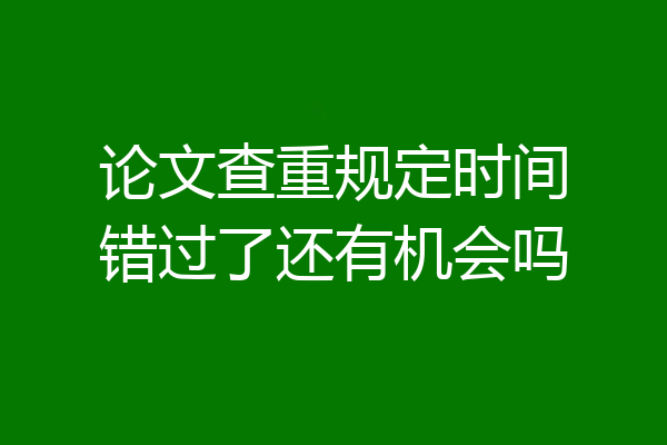论文查重规定时间错过了还有机会吗