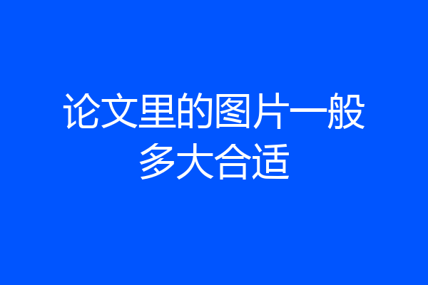 论文里的图片一般多大合适
