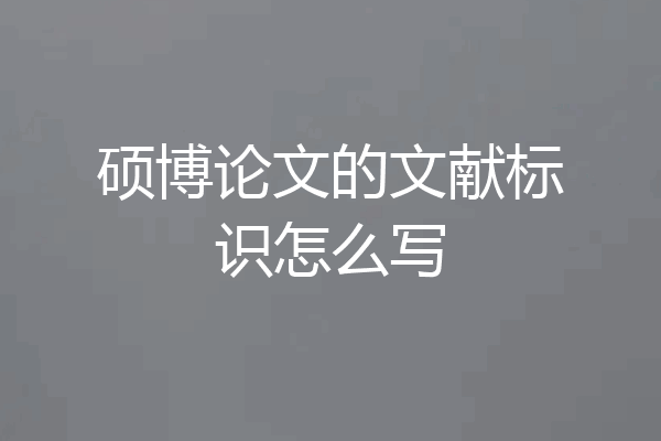 硕博论文的文献标识怎么写