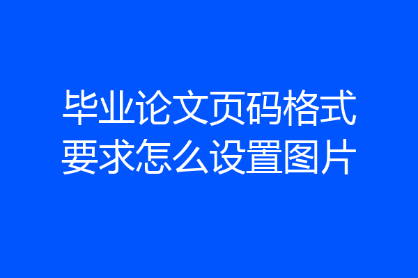 毕业论文页码格式要求怎么设置图片
