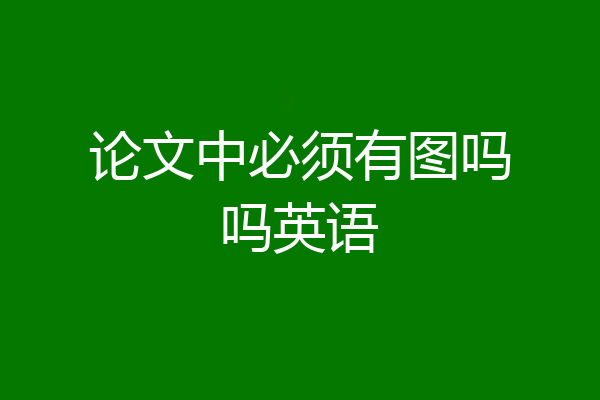 论文中必须有图吗吗英语