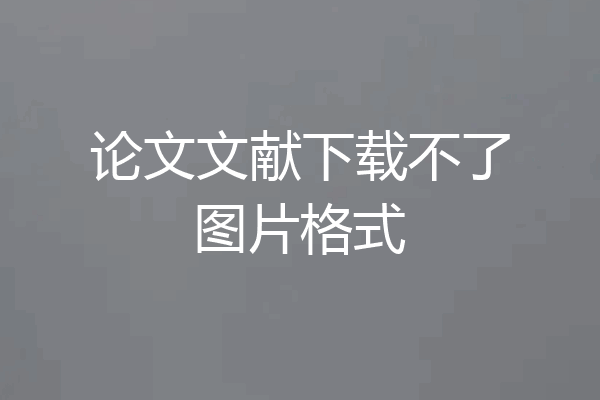 论文文献下载不了图片格式