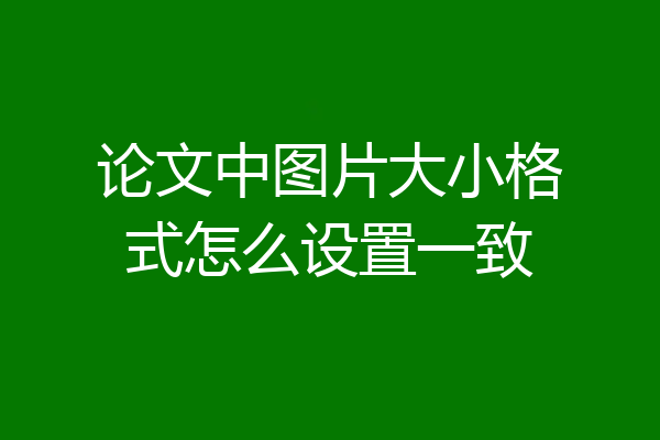 论文中图片大小格式怎么设置一致