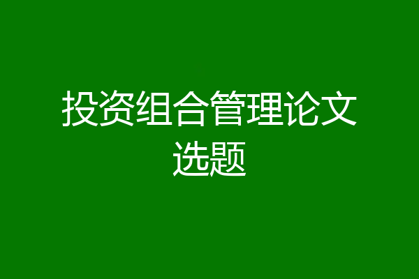 投资组合管理论文选题