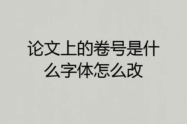 论文上的卷号是什么字体怎么改