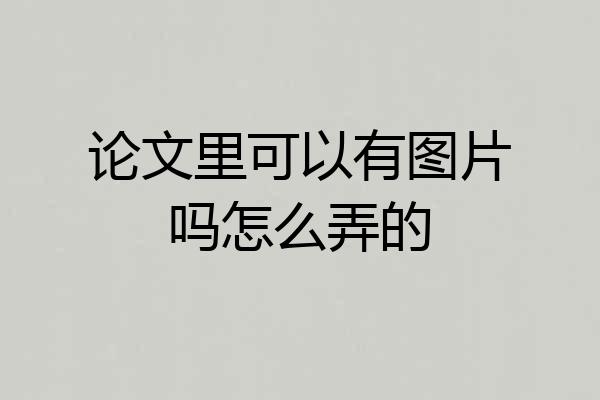 论文里可以有图片吗怎么弄的