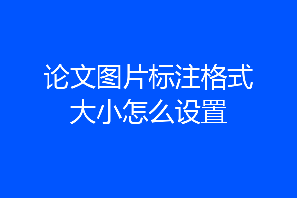 论文图片标注格式大小怎么设置