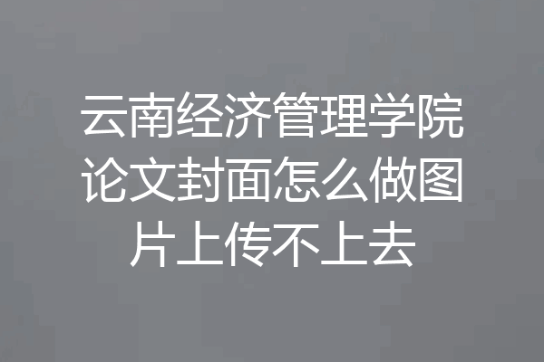 云南经济管理学院论文封面怎么做图片上传不上去