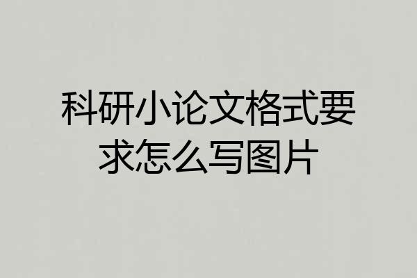 科研小论文格式要求怎么写图片