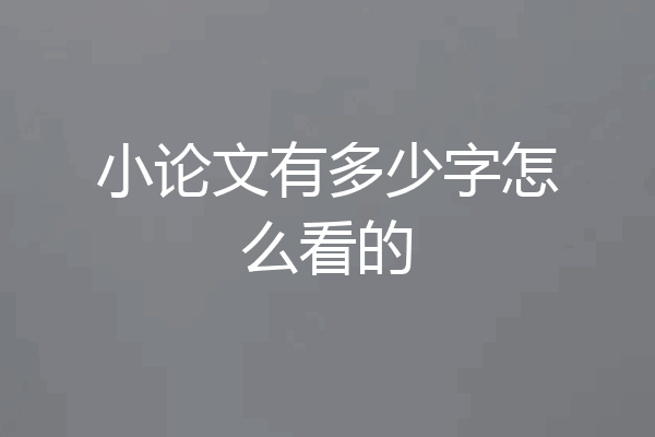 小论文有多少字怎么看的