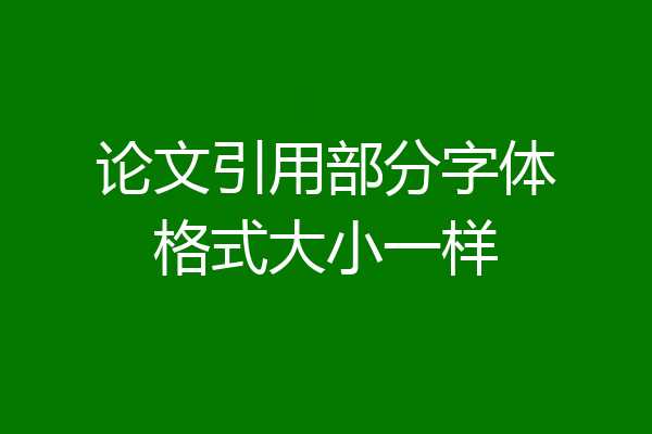 论文引用部分字体格式大小一样