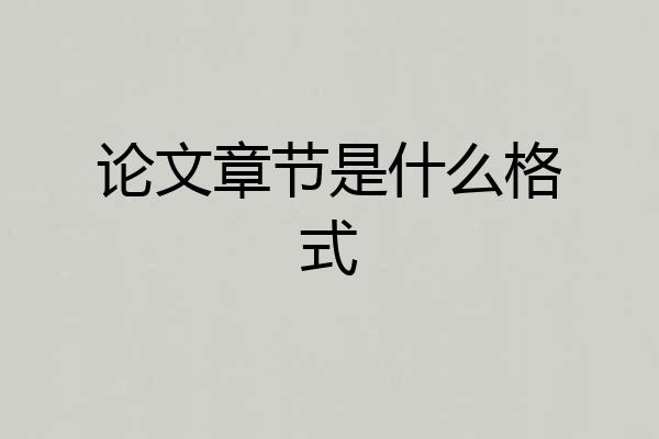 论文章节是什么格式
