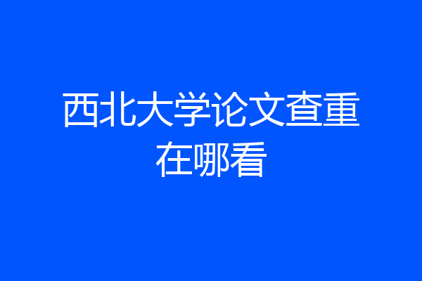 西北大学论文查重在哪看