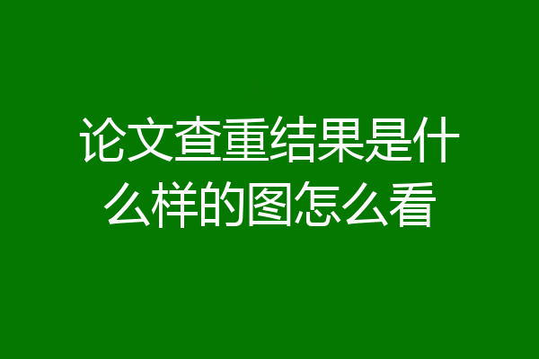 论文查重结果是什么样的图怎么看