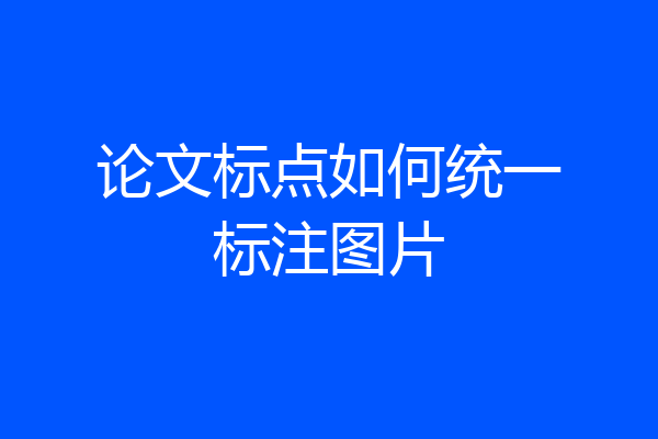 论文标点如何统一标注图片