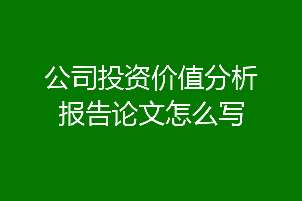 公司投资价值分析报告论文怎么写