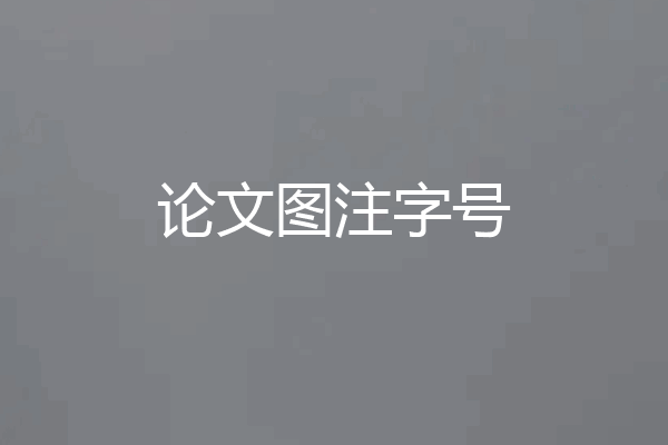 论文图注字号