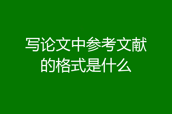 写论文中参考文献的格式是什么
