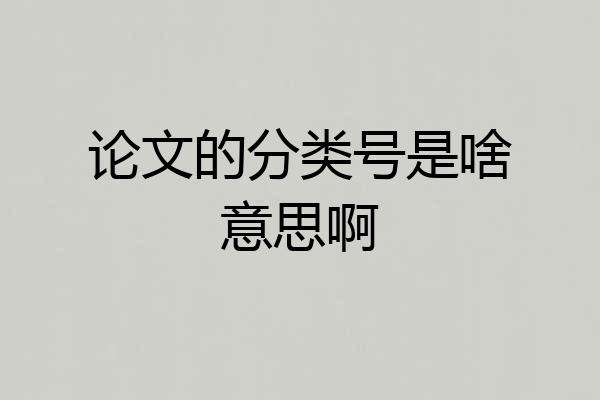 论文的分类号是啥意思啊