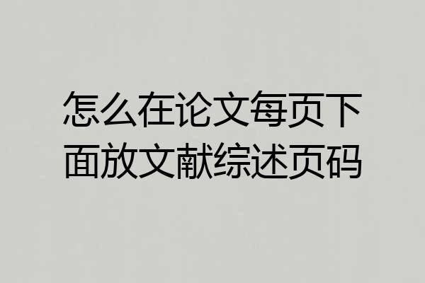 怎么在论文每页下面放文献综述页码