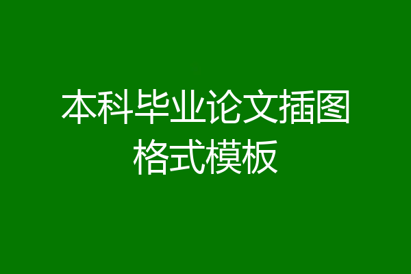 本科毕业论文插图格式模板