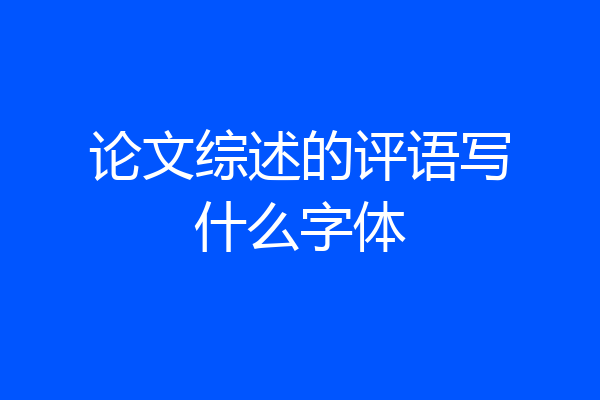 论文综述的评语写什么字体