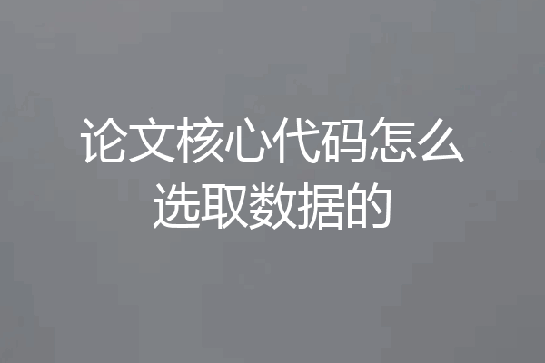 论文核心代码怎么选取数据的