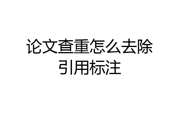 论文查重怎么去除引用标注